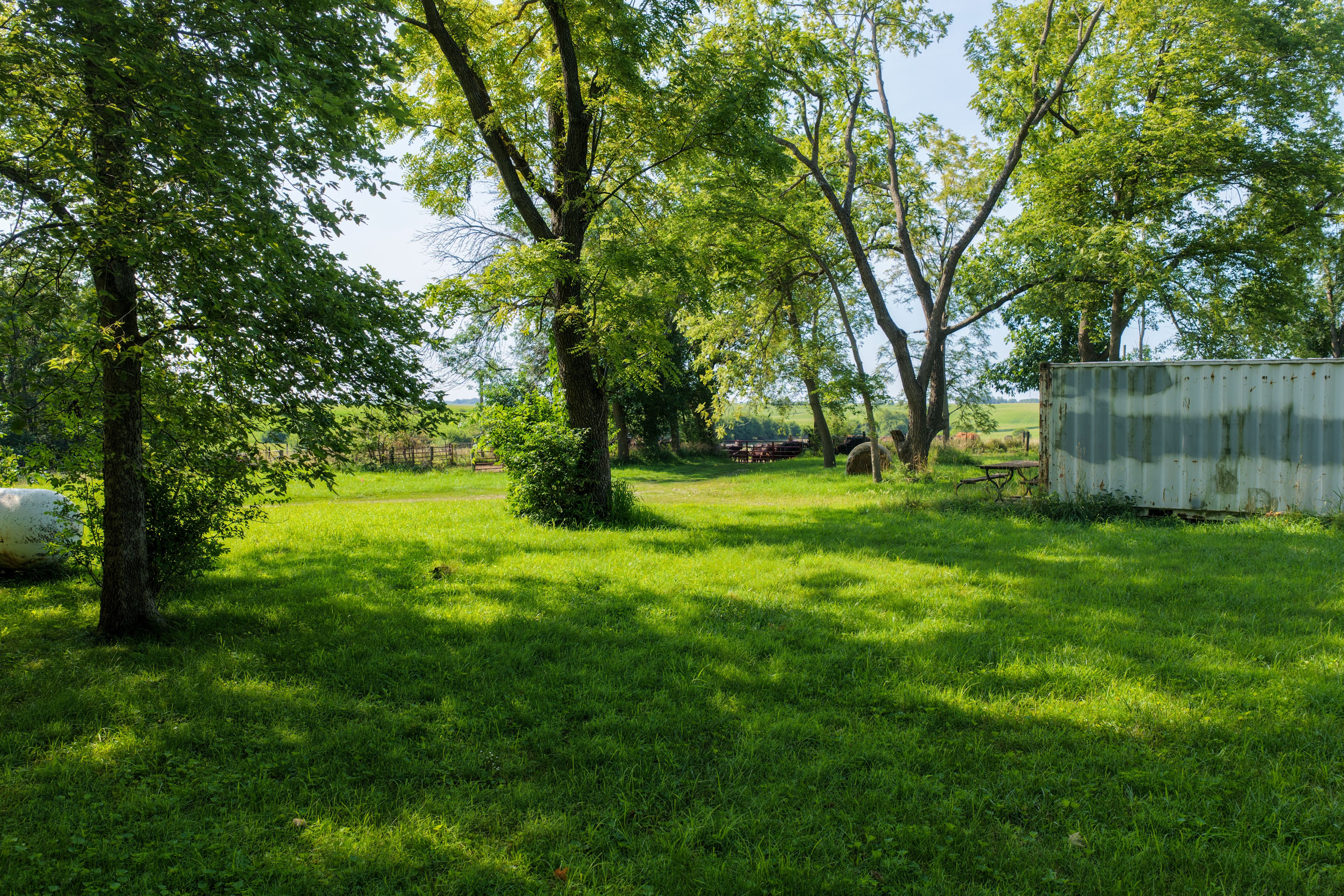 Listing Photo: Land for Sale Johnson County Iowa-7